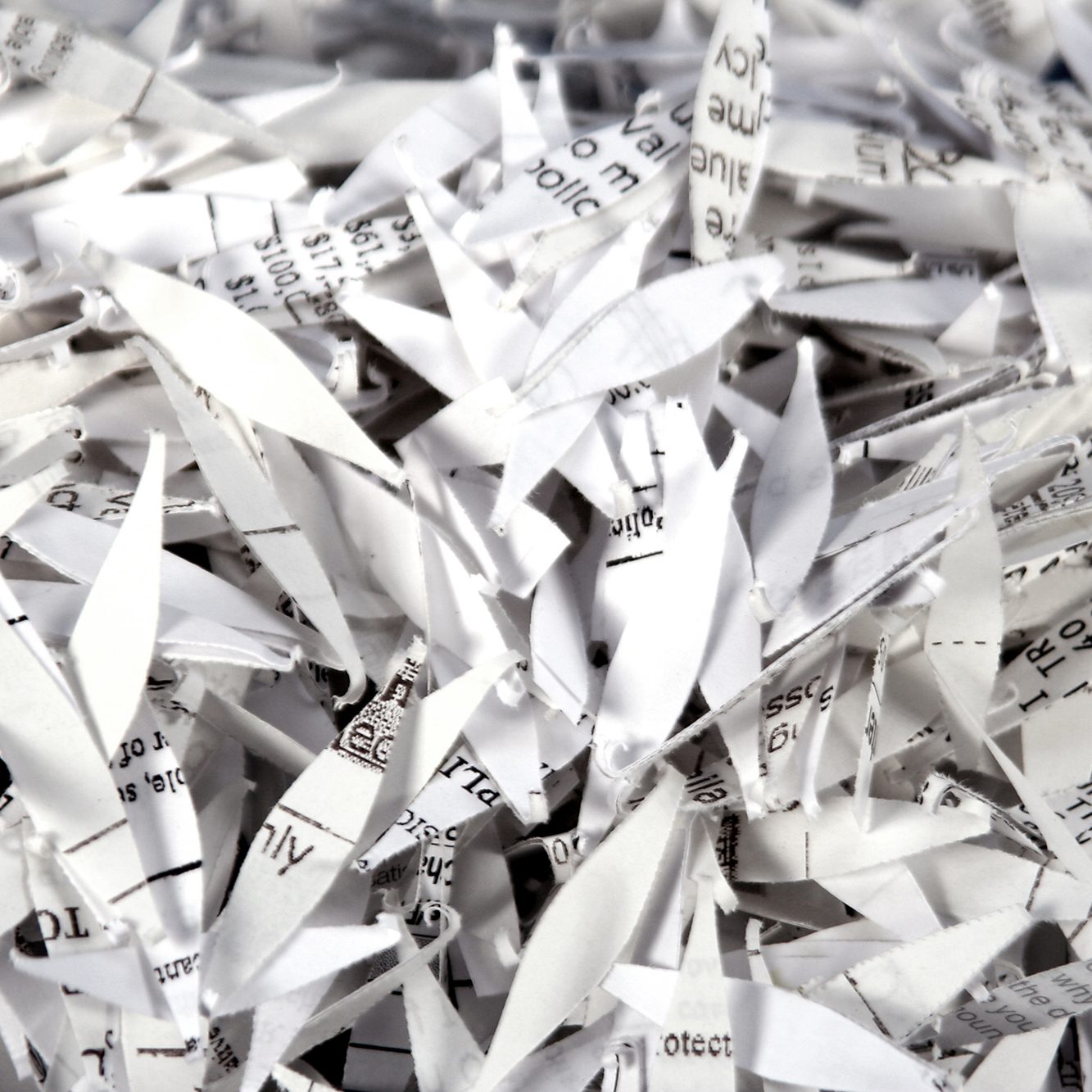 Shredding3 Shredding3