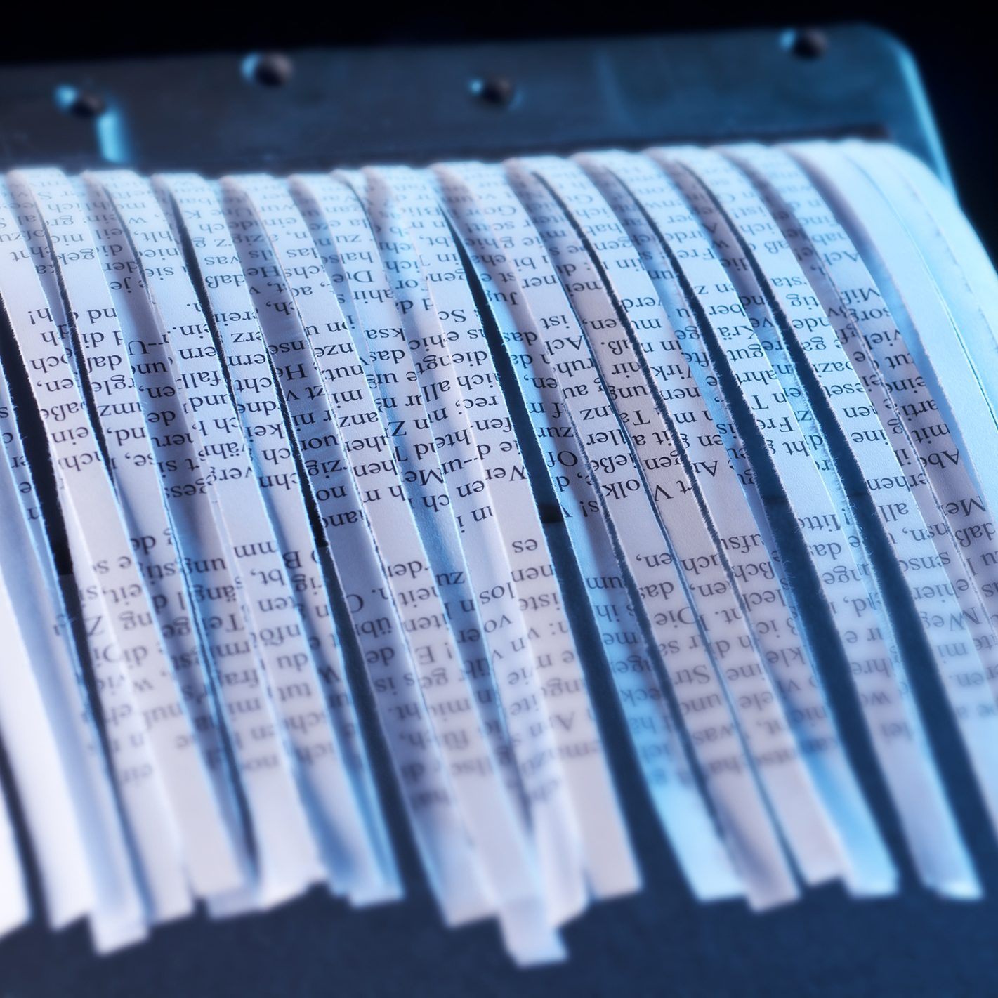 Shredding4 Shredding4